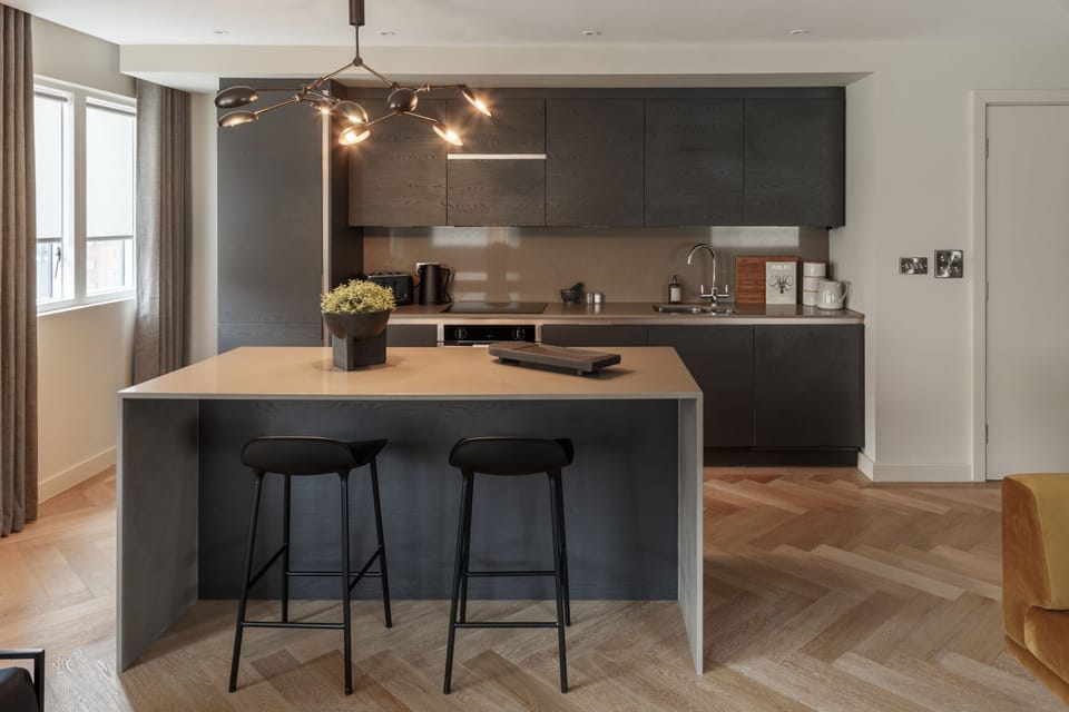 Luxury Apartment, Private Bathroom (Free Parking) | Private kitchen