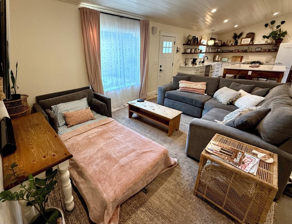 Twin Sleeper Sofa Bed pillows, sheets, blankets, mattress protector.