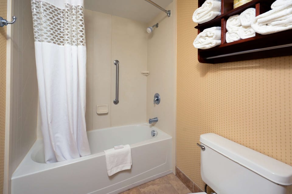 Suite, 1 King Bed with Sofa bed, Non Smoking | Bathroom | Eco-friendly toiletries, hair dryer, towels, soap