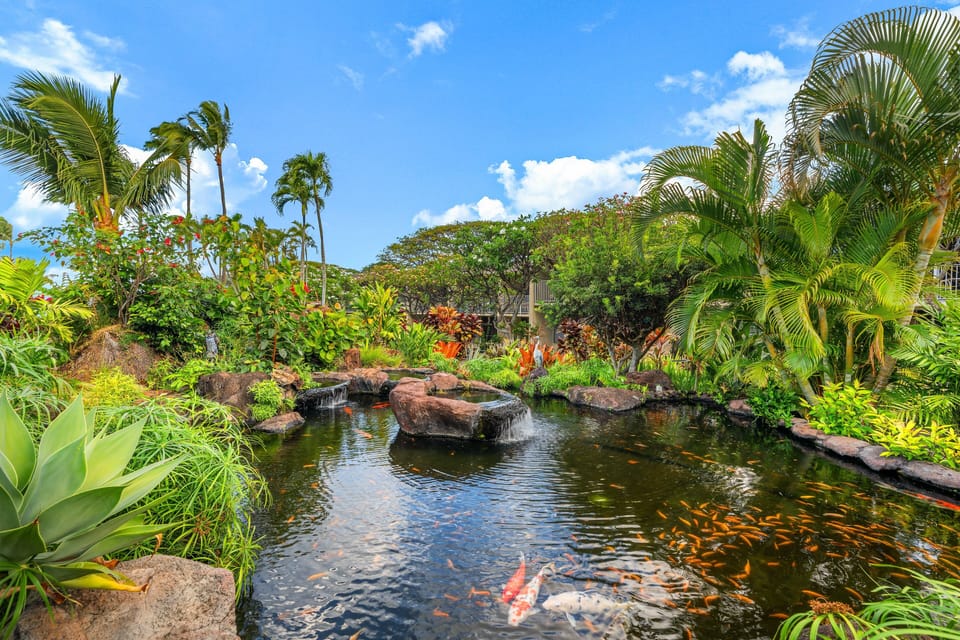 Admire a serene koi pond surrounded by lush tropical plants and vibrant greenery, creating a peaceful garden retreat.