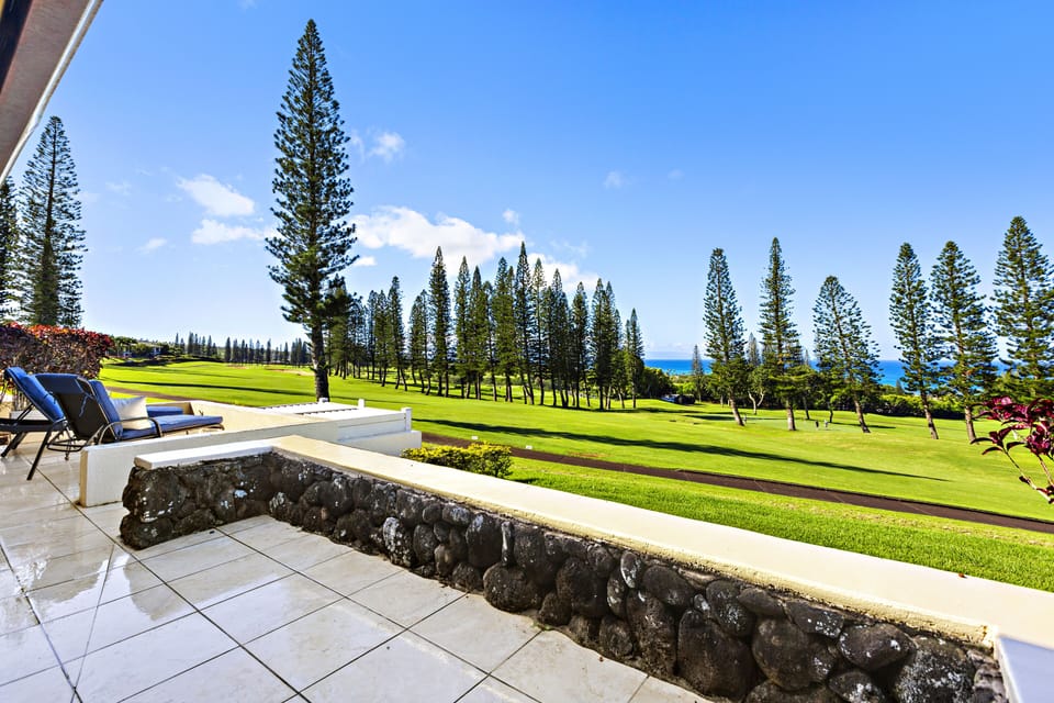 View from the lanai