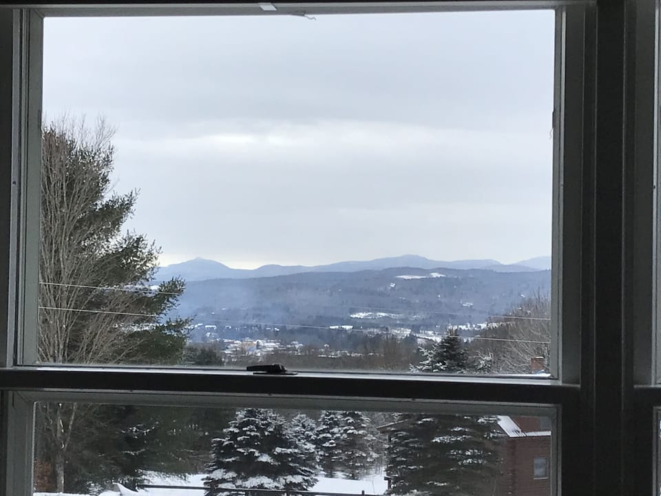 Winter view out living room windows. 