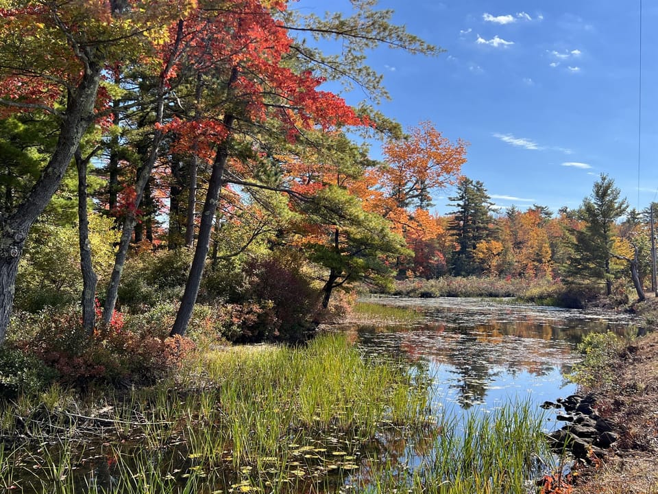 Fall Hiking In The Area