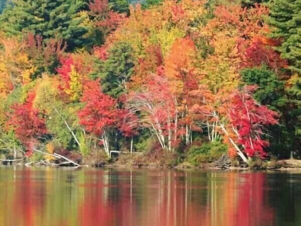 Fall at the Lake