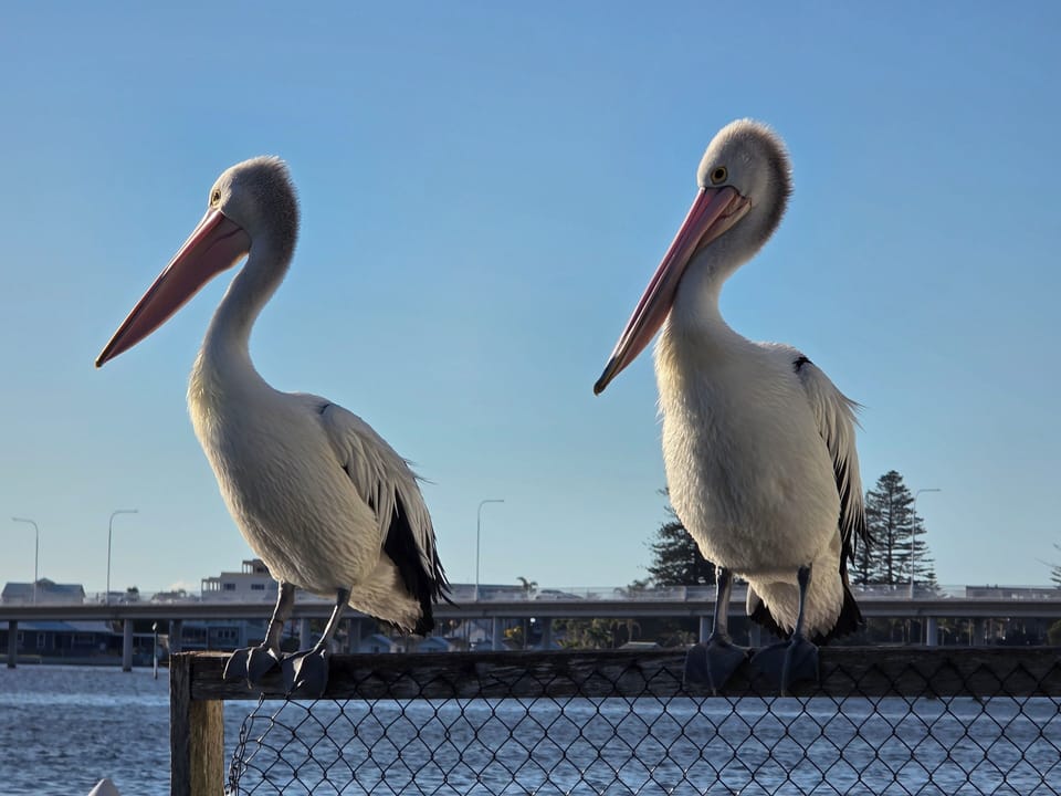 Locals