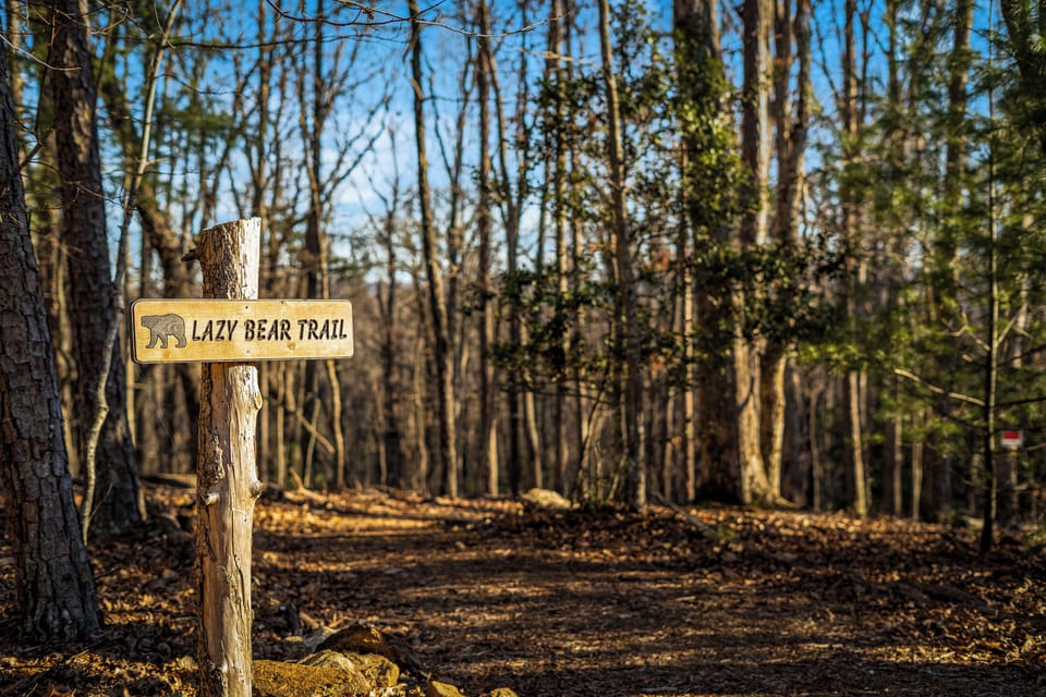 Custom-built Lazy Bear Trail for you to spend quality time in nature!