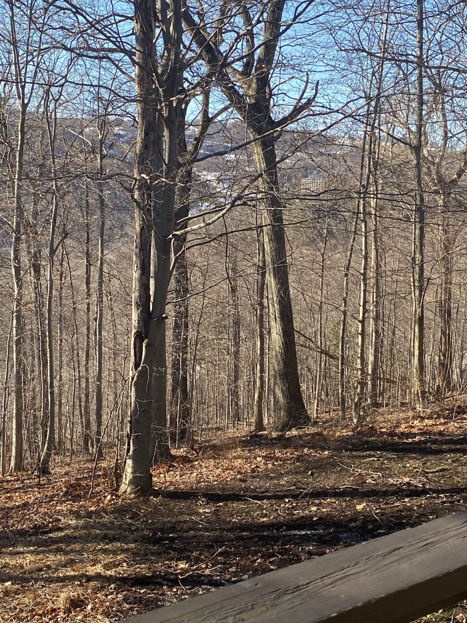 View off the deck. View of ski slopes