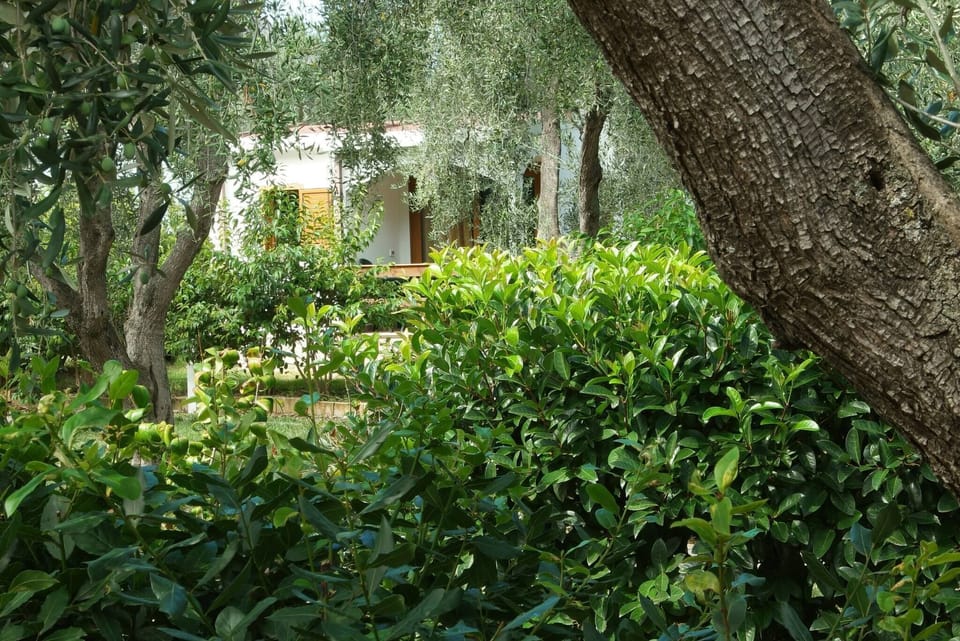 House, 2 Bedrooms, Garden View | Front of property