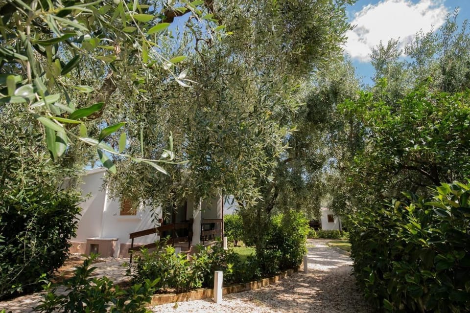 House, 2 Bedrooms, Balcony, Garden View | Garden