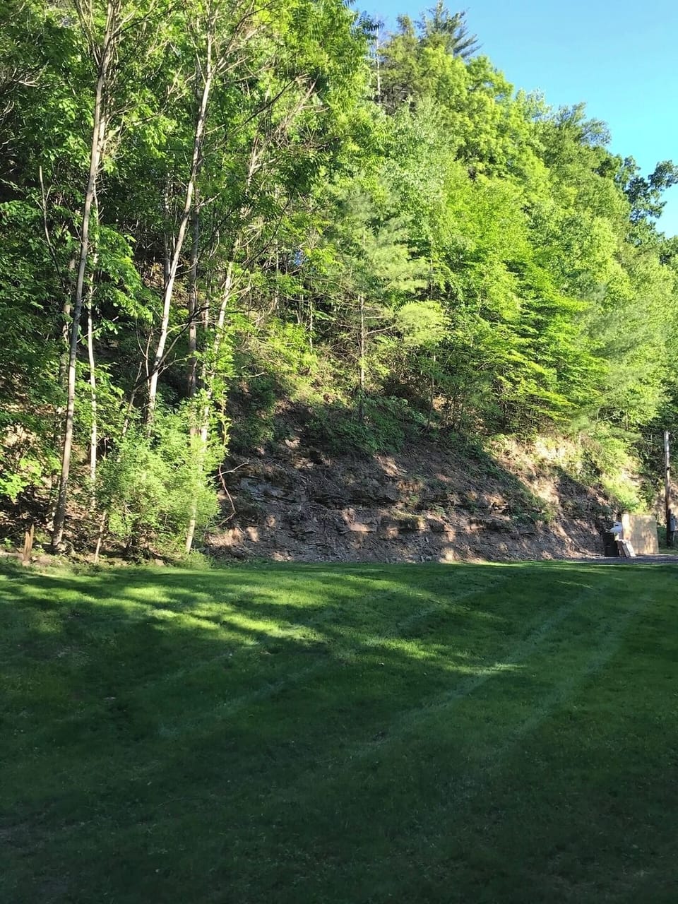 Front lawn 