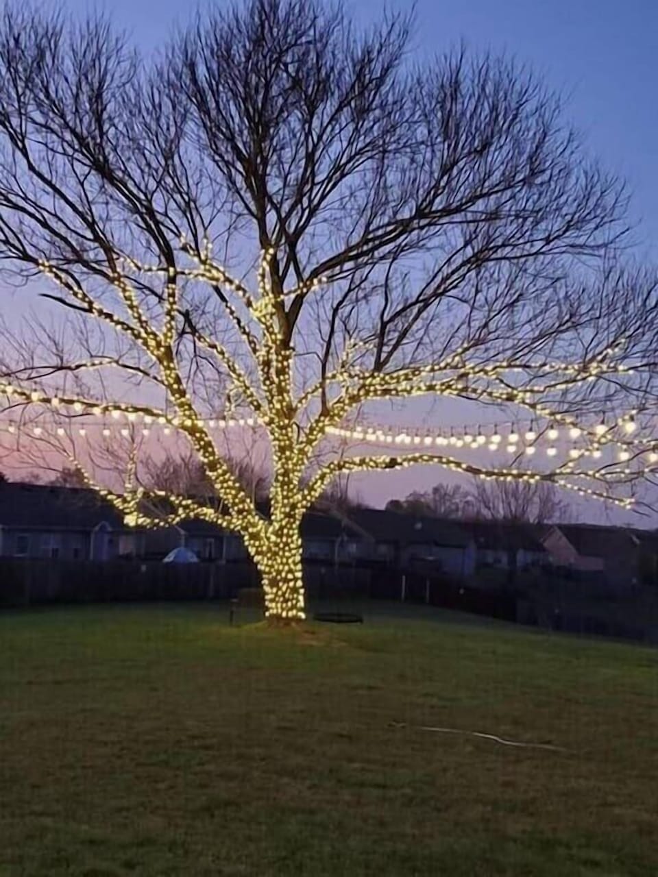 Exterior - Market Lighting