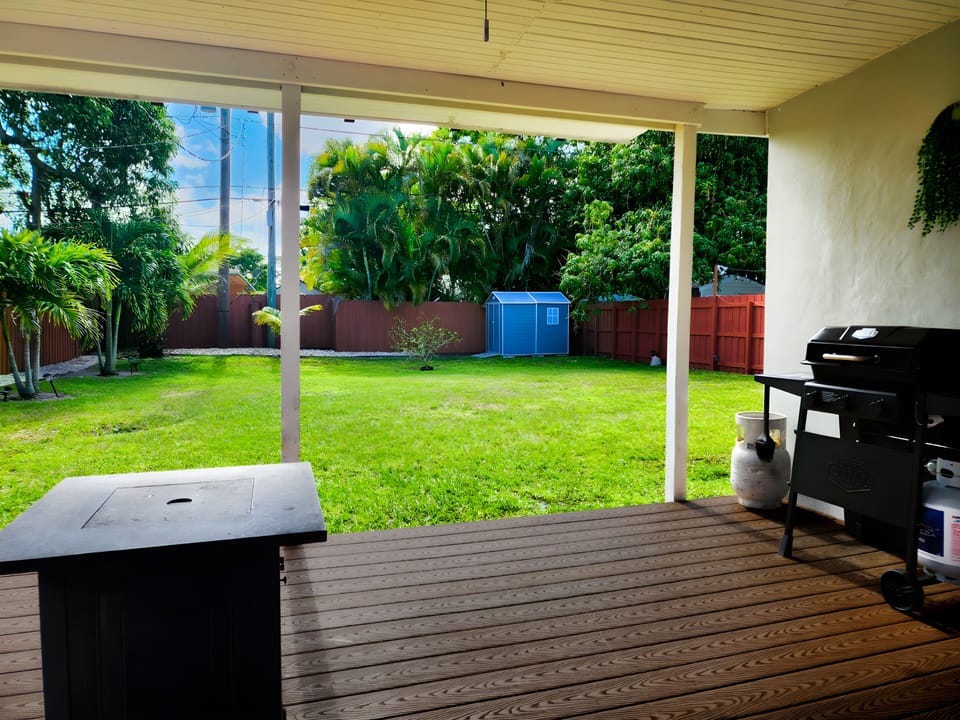 View of the backyard