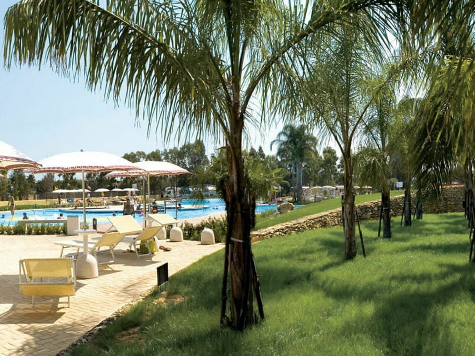 Plant, Sky, Water, Tree, Arecales, Shade, Outdoor Furniture, Leisure, Landscape, Palm Tree