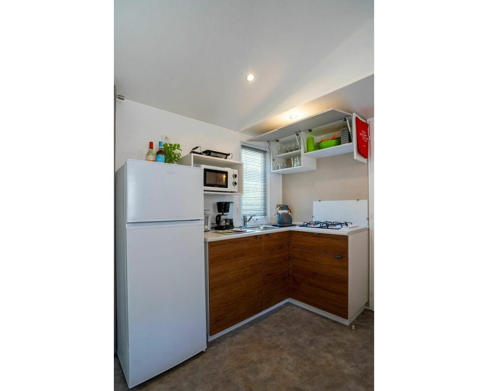 Cabinetry, Building, Furniture, Countertop, Product, Kitchen Appliance, Houseplant, Home Appliance, Wood, Kitchen
