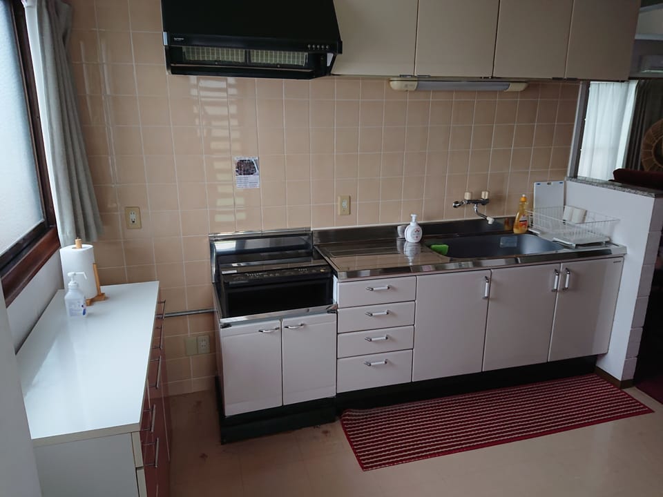 Deluxe Apartment | Private kitchen | Full-size fridge, microwave, stovetop, electric kettle