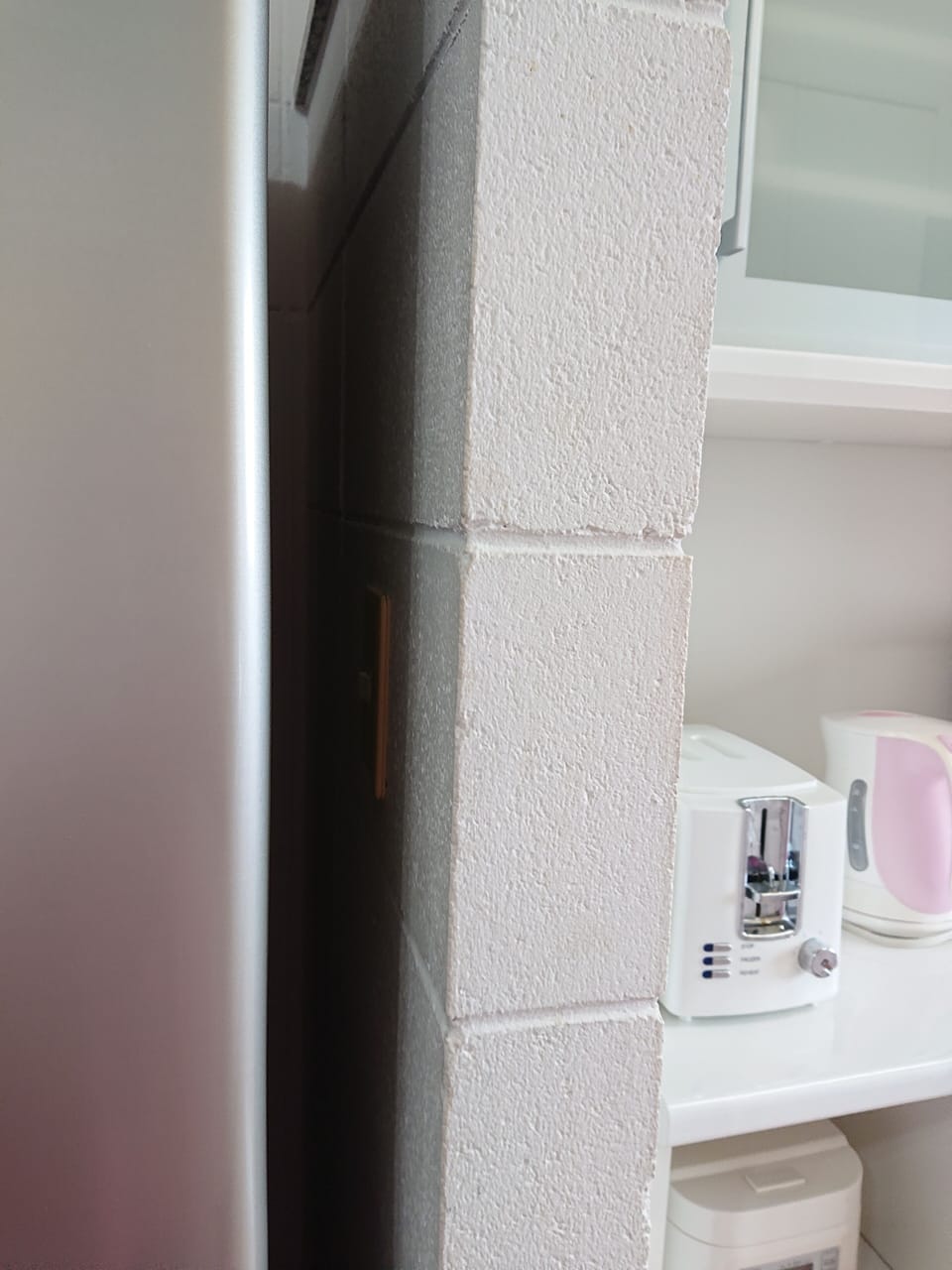 Deluxe Apartment | Private kitchen | Full-size fridge, microwave, stovetop, electric kettle