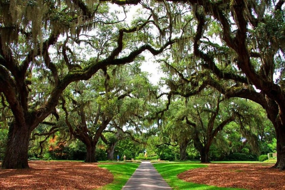 Brookgreen Gardens Myrtle Beach