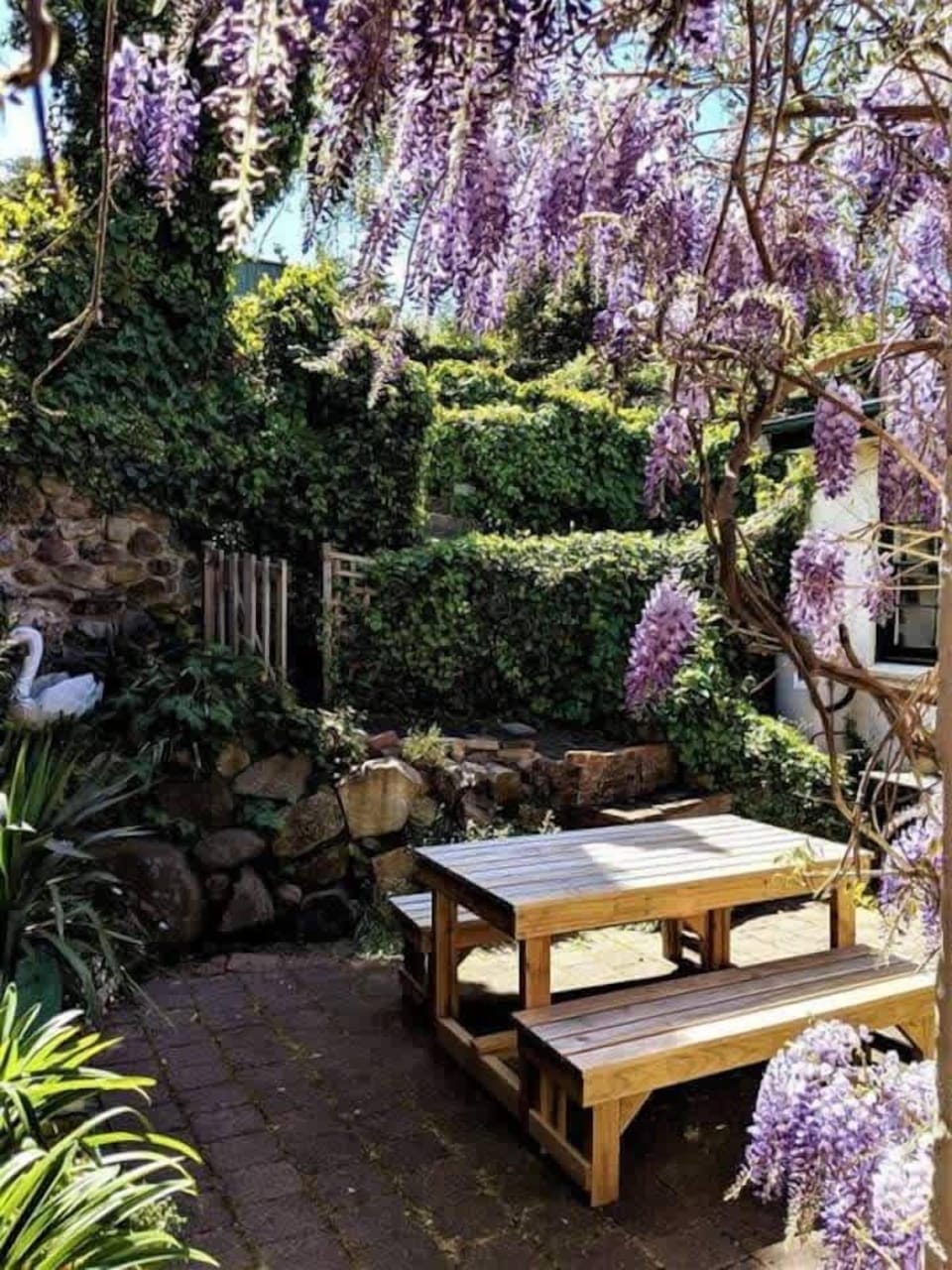 (8)