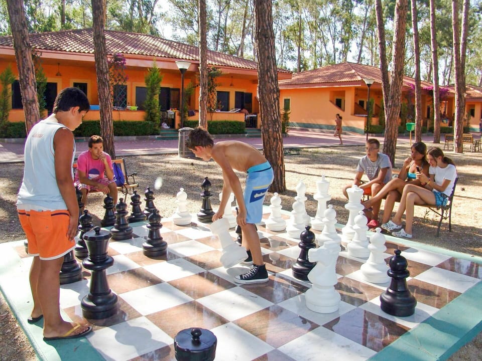 World, Leisure, Indoor Games And Sports, Sports Equipment, Tree, Recreation, Fun