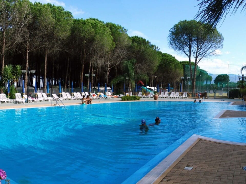 Water, Sky, Plant, Swimming Pool, Tree, Chair, Resort Town, Fun, Real Estate, Leisure