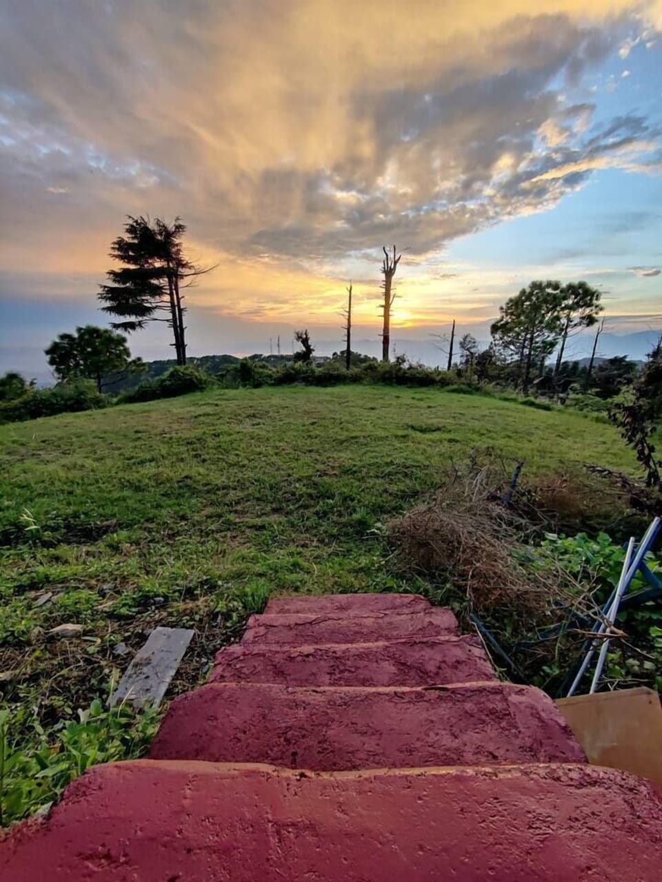 Image 12