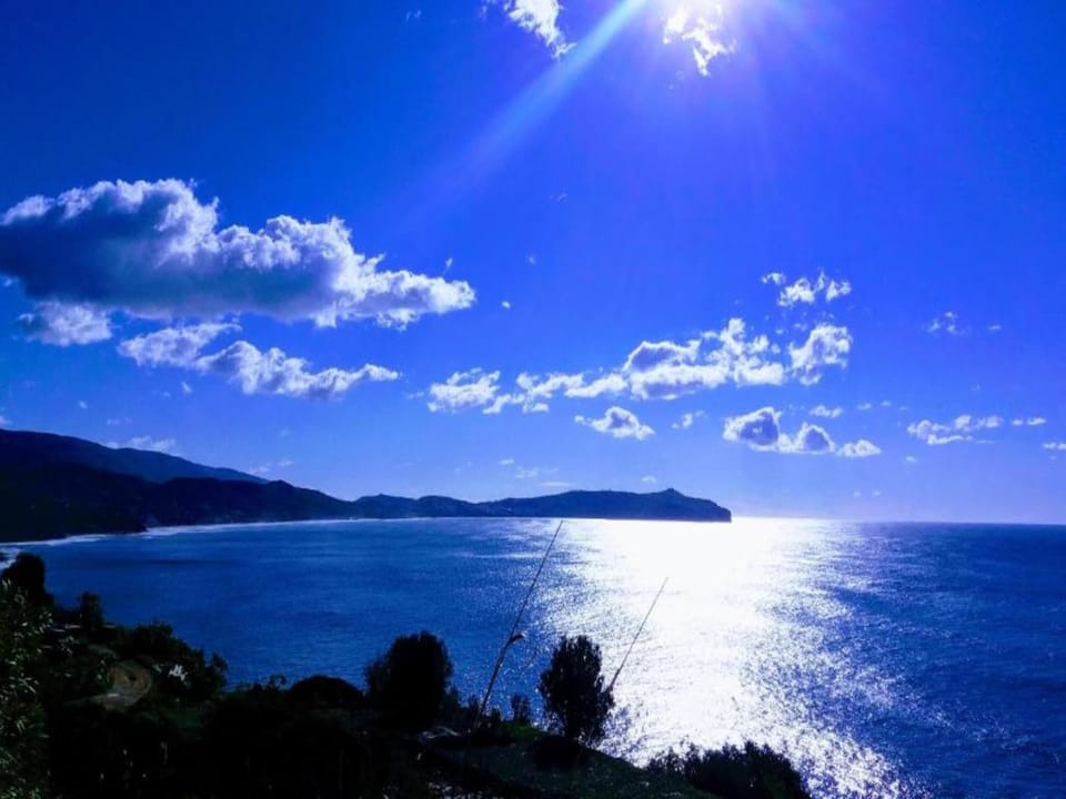 Region [summer] (>5 km)