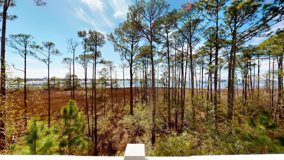 View from property