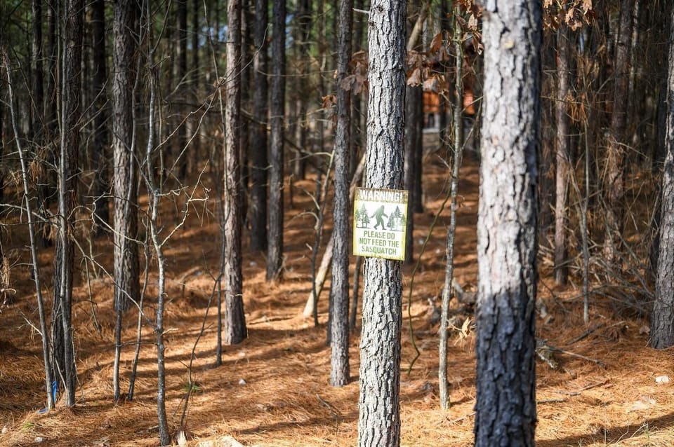 Be wary of the Sasquatch, who is said to roam the Ouachita National Forest