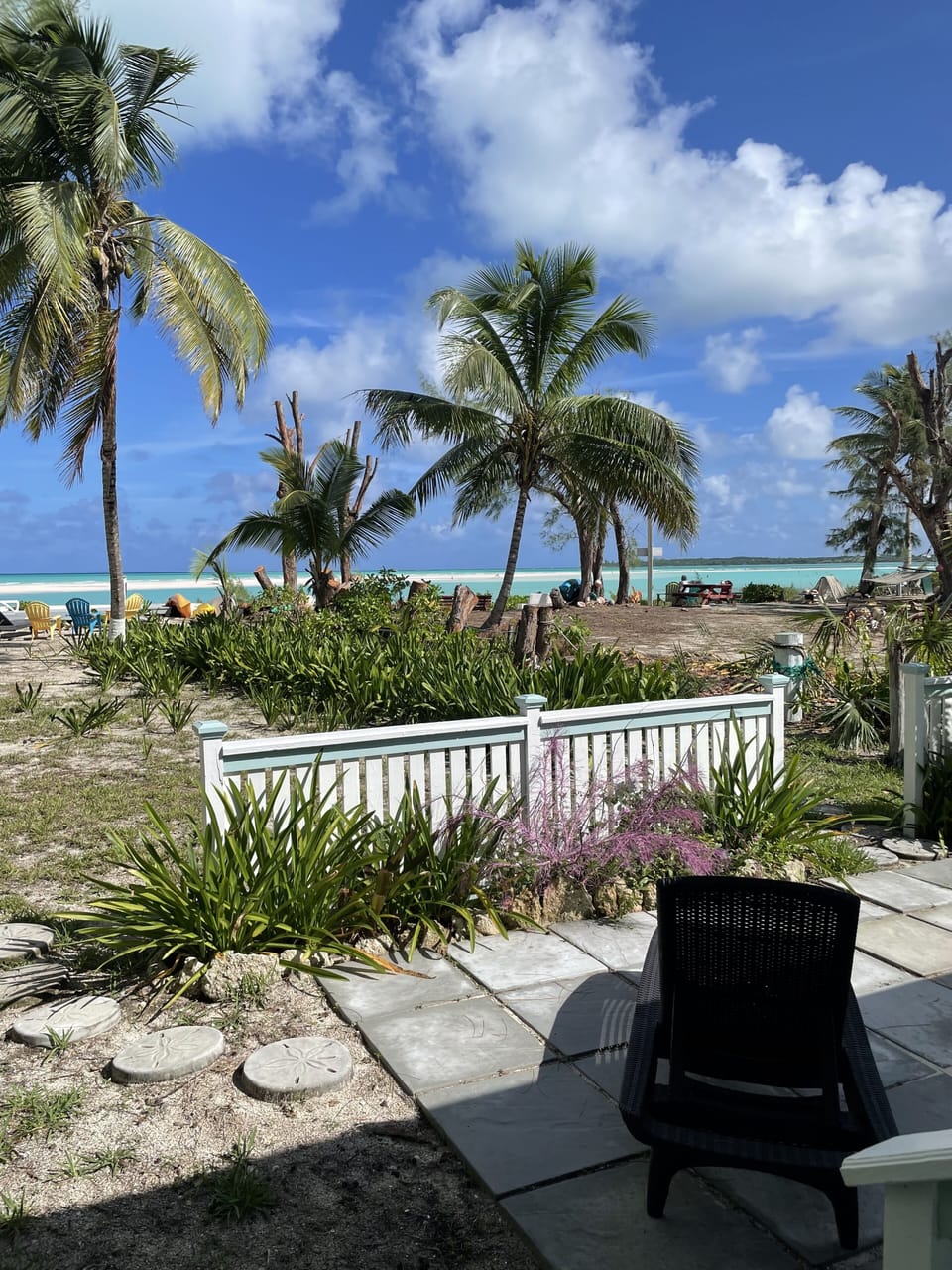 A view from covered patio at palmetto cottage.  