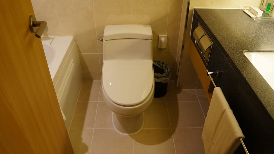 Combined shower/tub, deep soaking tub, free toiletries, hair dryer