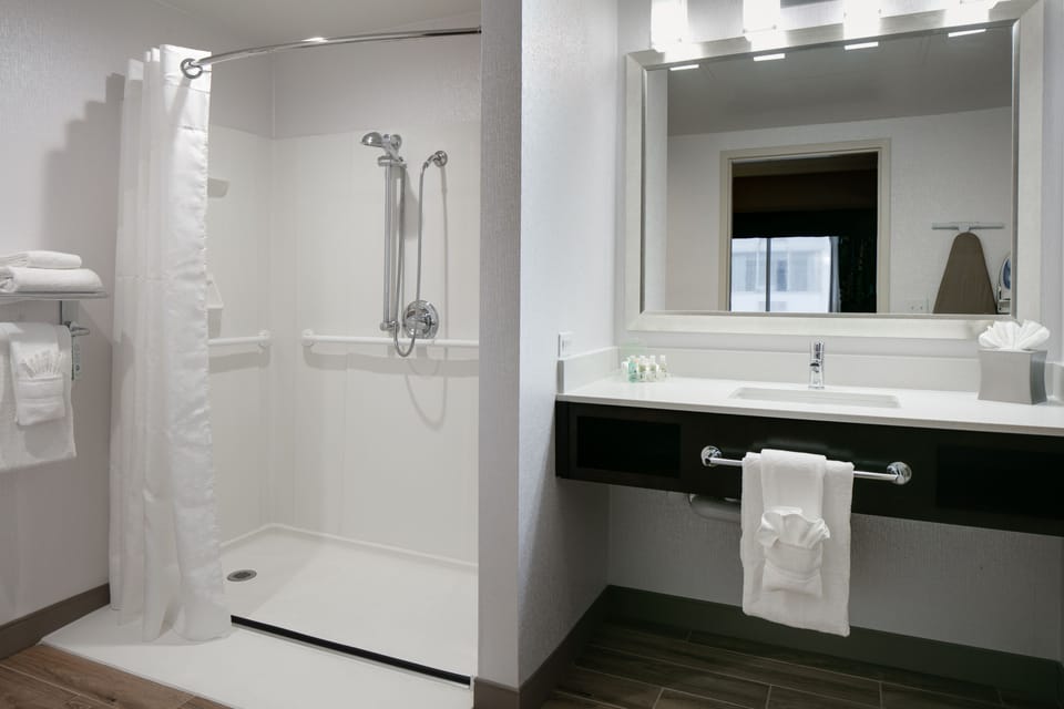 Suite, 1 King Bed, Accessible (Roll-In Shower) | Bathroom | Combined shower/tub, eco-friendly toiletries, hair dryer, towels
