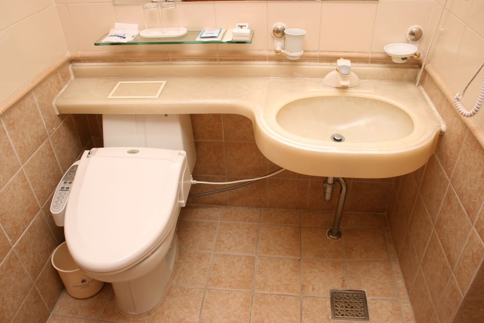 Deluxe Twin Room | Bathroom sink