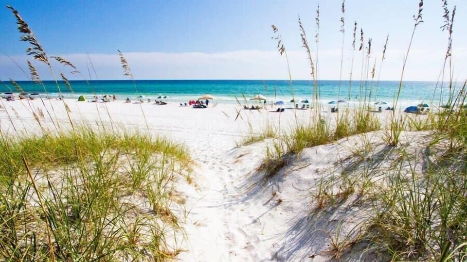 Sugar White Sands!