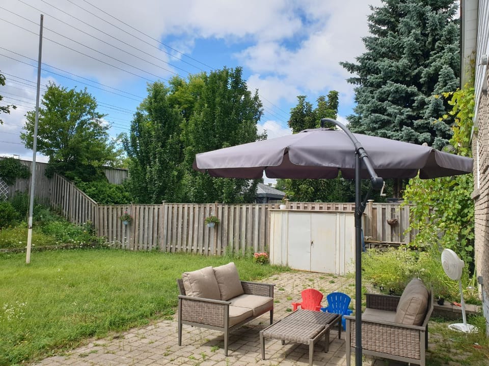 Backyard Summer View and Patio Set