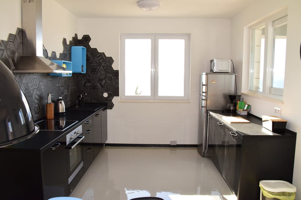 Deluxe Apartment | Private kitchen | Full-size fridge, microwave, oven, stovetop