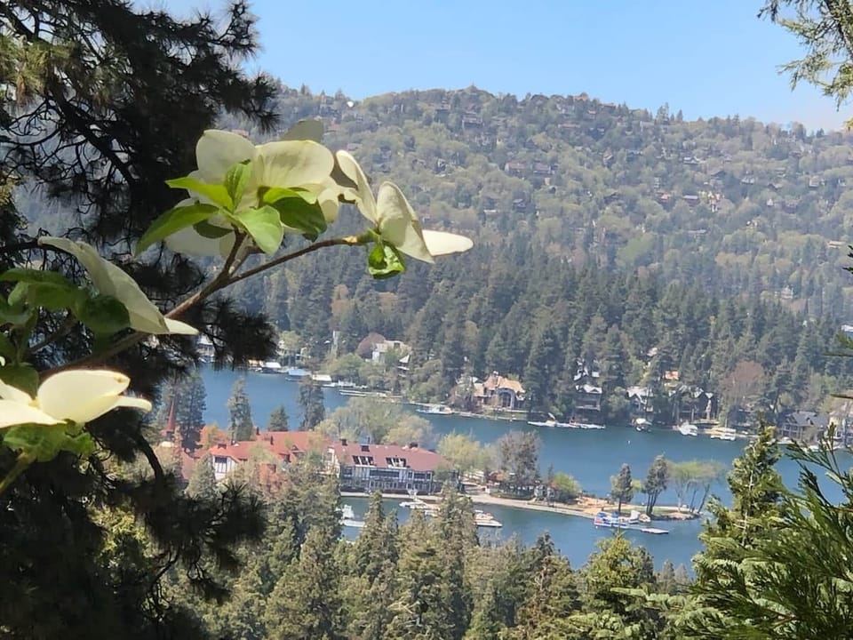View of Lake Arrowhead from deck in Spring.