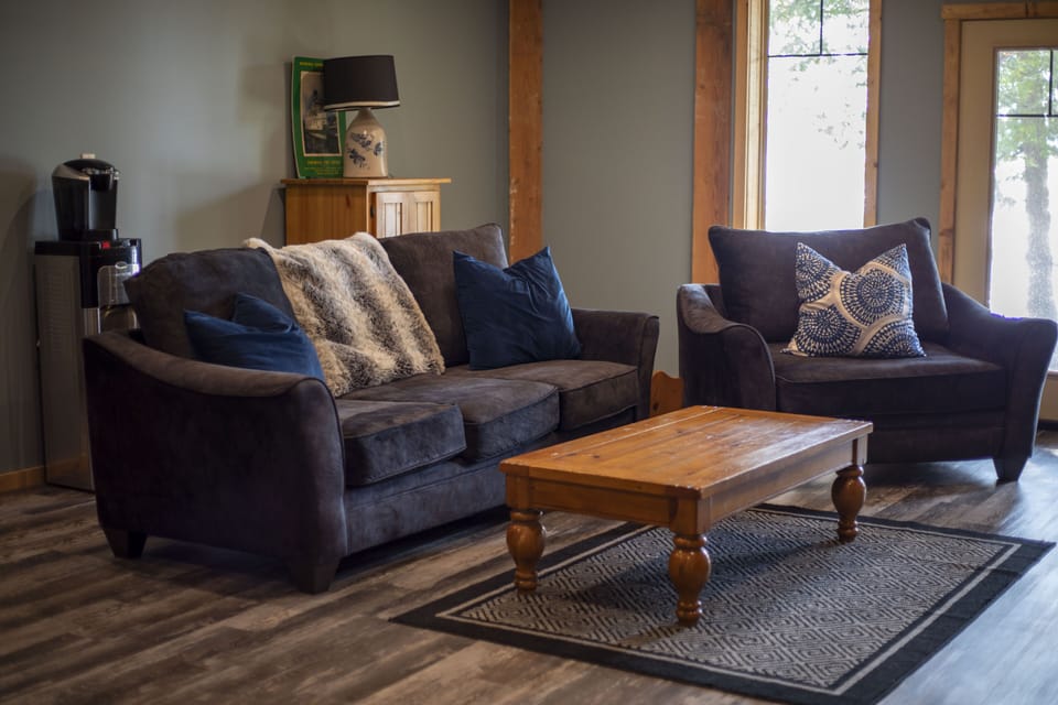 Basement Living Room - with a Walkout