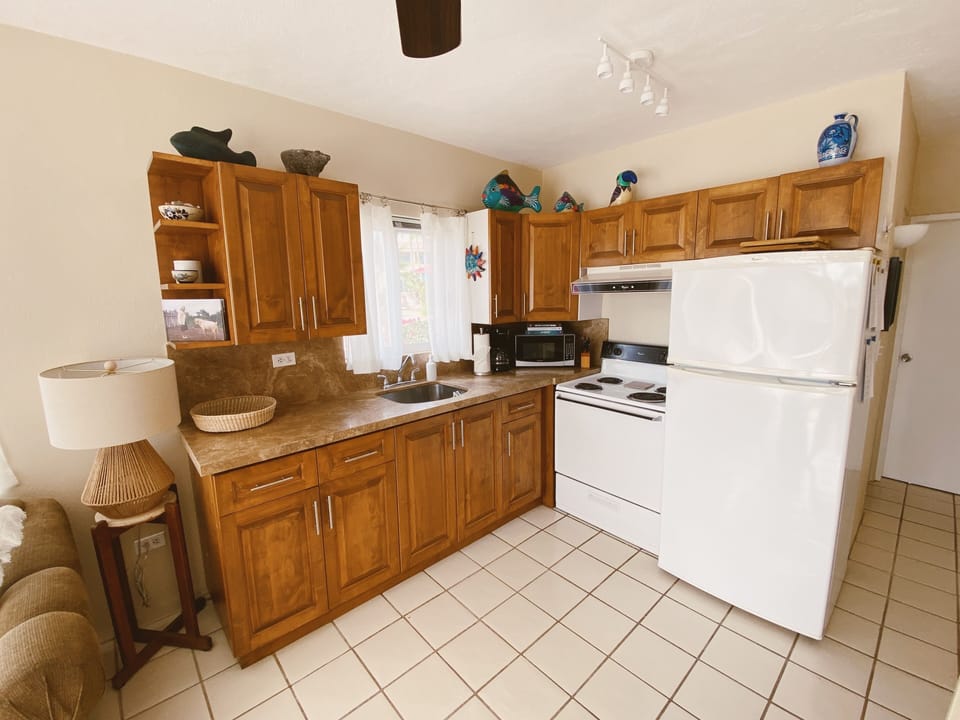 Fully equipped kitchen with pantry staples included.