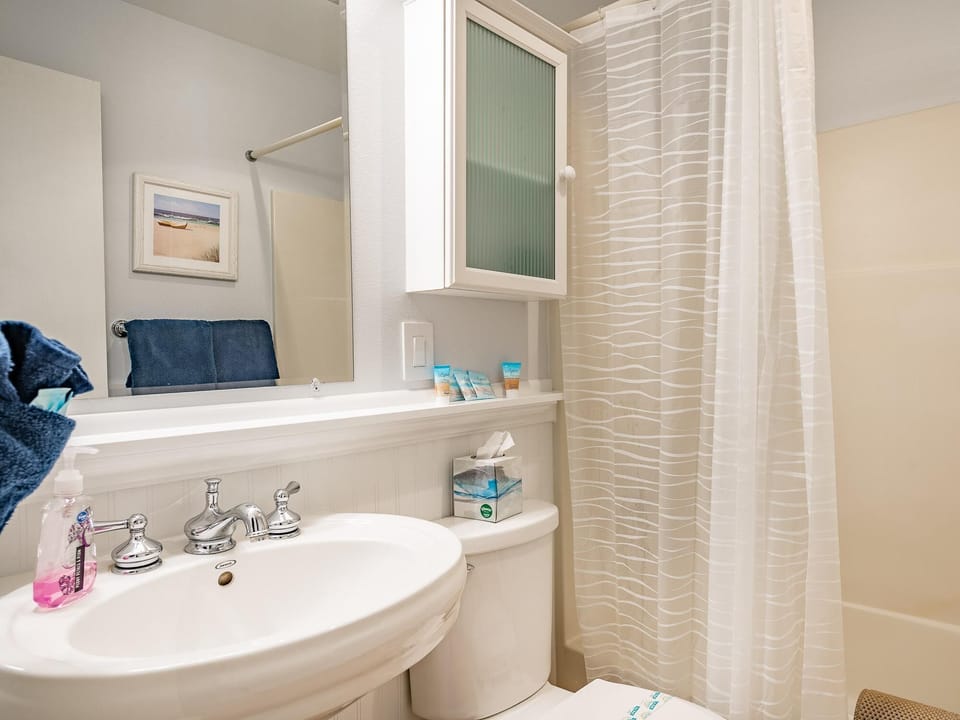Lower bathroom tub and shower