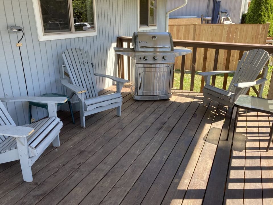 Gas grill