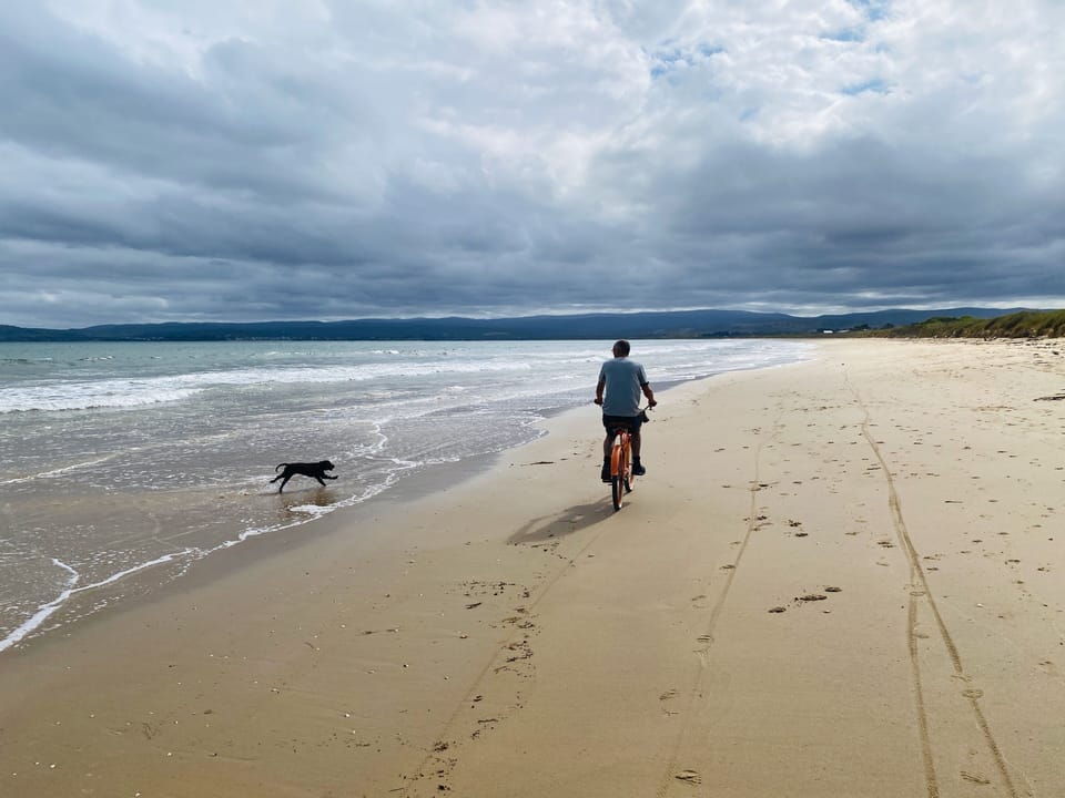 Beach Riding
