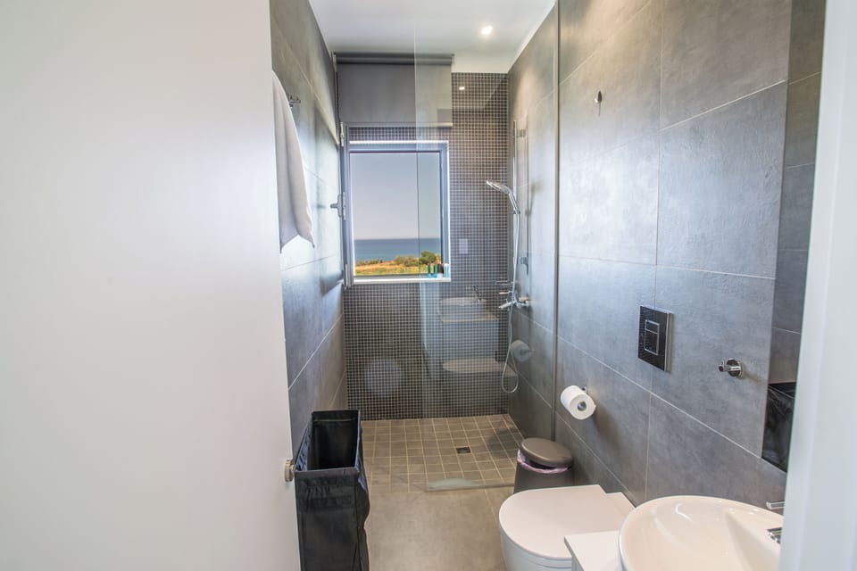 Protaras Holiday Villa Wp4 Villa in Paralimni
