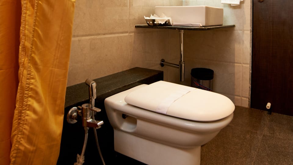 Shower, free toiletries, towels