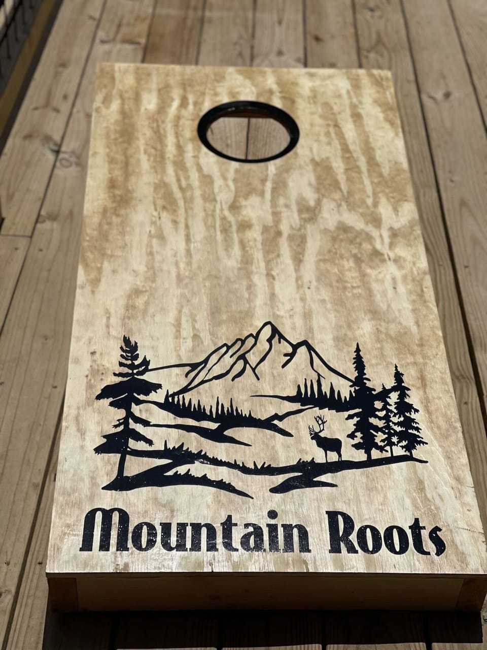 Corn Hole boards