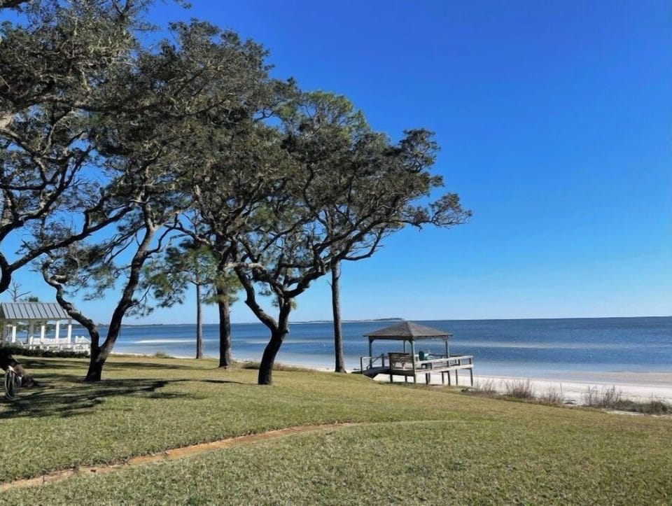 View from house and deck