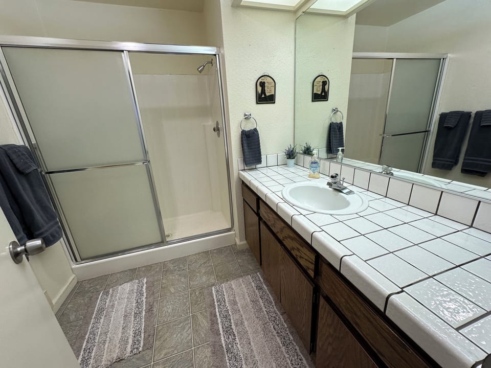 Downstairs master bathroom with large walk in shower.