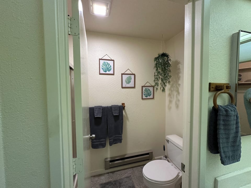 Upstairs master bathroom with double sinks, walk-in closet, and walk in shower.