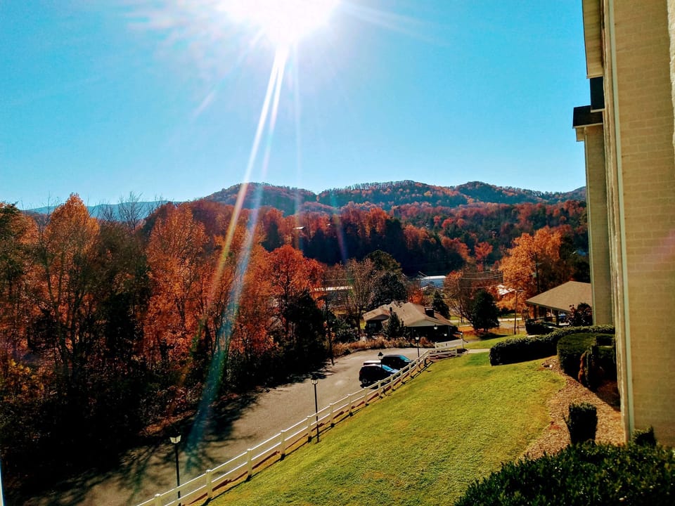 View from property
