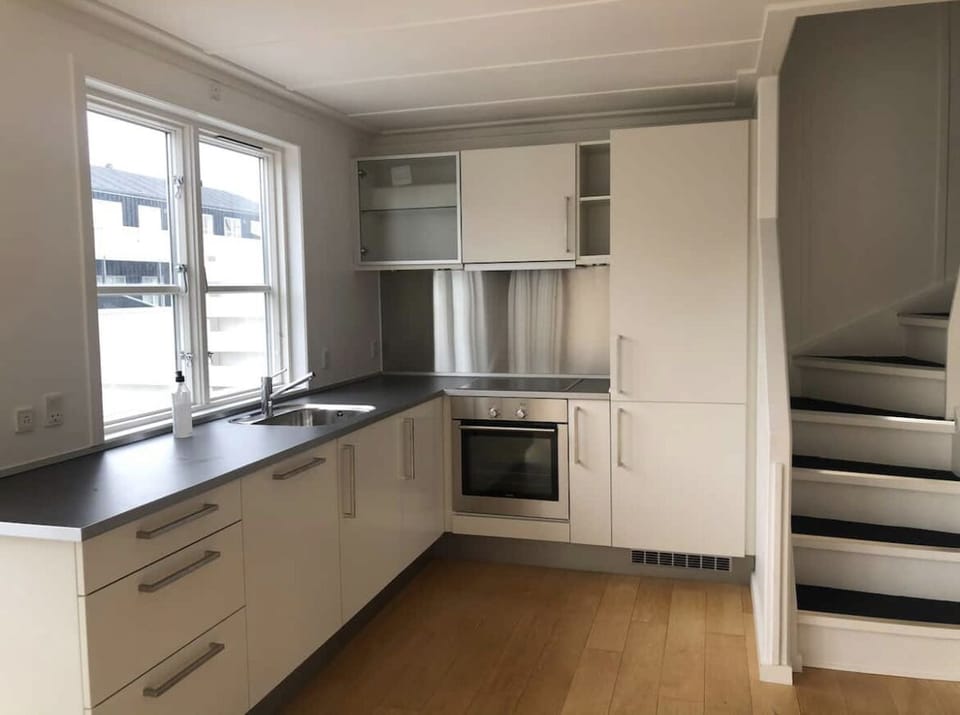 House | Private kitchen | Fridge, oven, stovetop, dishwasher