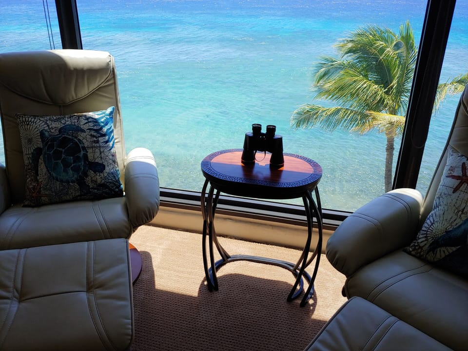 Binoculars and captain's chairs, watch turtles, dolphins, and whales in season